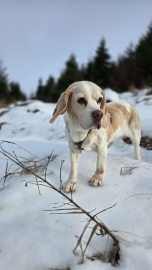 989cc1e0c2ec4105b1259f6d3070600c.jpg 989cc1e0c2ec4105b1259f6d3070600c.jpg