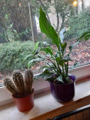 20251129_101052.jpg 20251129_101052.jpg