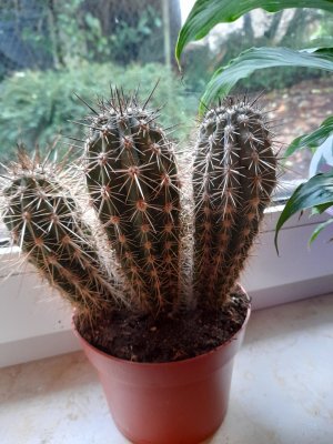 20251129_101058.jpg 20251129_101058.jpg