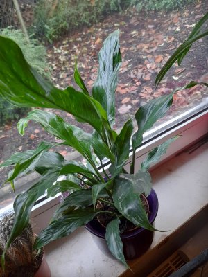 20251129_101111.jpg 20251129_101111.jpg