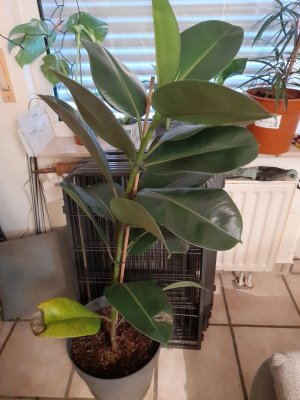 20251129_101402.jpg 20251129_101402.jpg