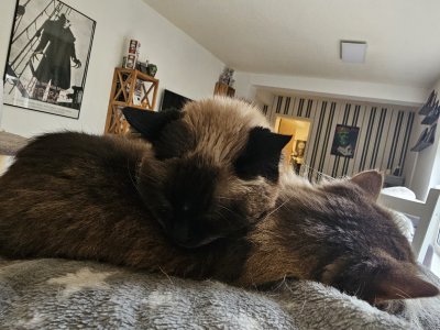 20251210_132135.jpg 20251210_132135.jpg