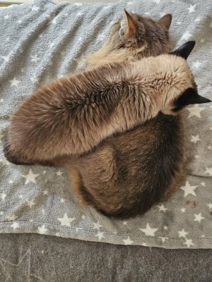 20251210_132112.jpg 20251210_132112.jpg