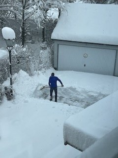 IMG_7353.jpeg IMG_7353.jpeg