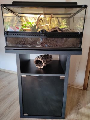 Emmas neue Wohnung (1).jpg