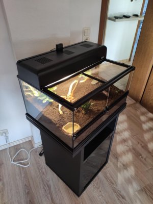 Emmas neue Wohnung (2).jpg