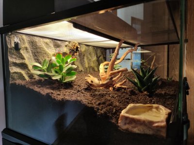 Emmas neue Wohnung (3).jpg