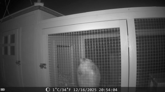 fe63573d-415b-4f63-a805-68b1b20fa0cb.jpeg fe63573d-415b-4f63-a805-68b1b20fa0cb.jpeg