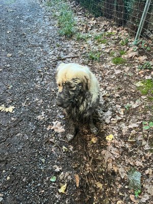 bd6337ed-a66e-48a6-b68b-d8c9fb5a6c4e.jpeg bd6337ed-a66e-48a6-b68b-d8c9fb5a6c4e.jpeg