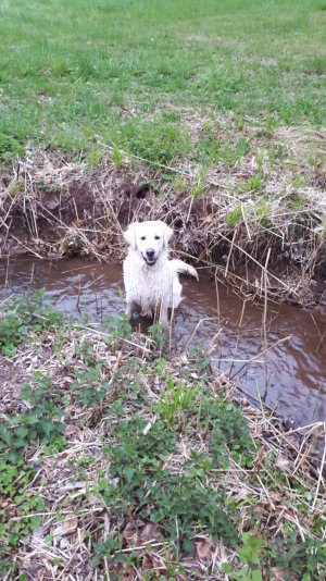 8d9ff552-a695-46ee-a32d-ec26e490351f.jpeg 8d9ff552-a695-46ee-a32d-ec26e490351f.jpeg