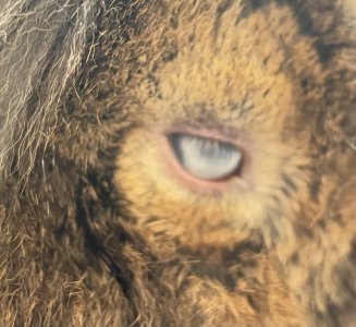 IMG_2356.jpeg IMG_2356.jpeg