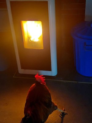 WhatsApp Image 2026-02-03 at 12.15.49.jpeg