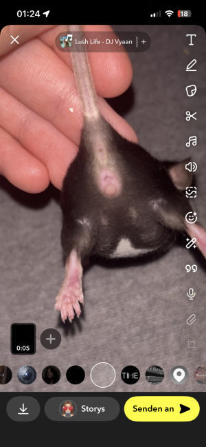 IMG_1903.png IMG_1903.png