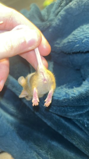 IMG_1898.jpeg IMG_1898.jpeg