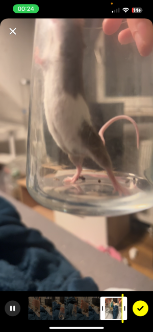 IMG_1893.png IMG_1893.png