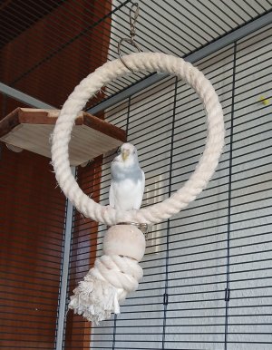 1000084041.jpg 1000084041.jpg