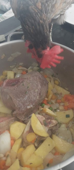 WhatsApp Image 2026-03-11 at 11.27.24.jpeg