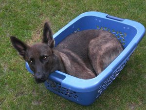 CIMG0030.JPG CIMG0030.JPG