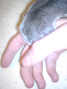 billy (159).JPG billy (159).JPG