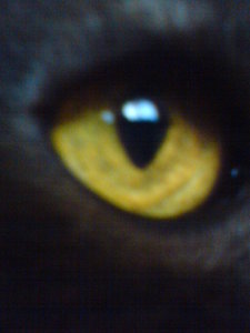 billy (142).JPG billy (142).JPG