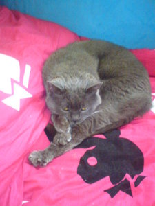 billy (262).JPG billy (262).JPG