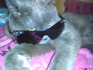 billy (474).JPG billy (474).JPG