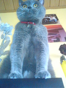 billy (531).JPG billy (531).JPG