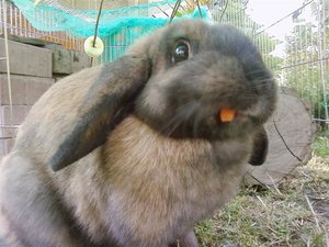 P11-07-09_17.49 (Small).jpg