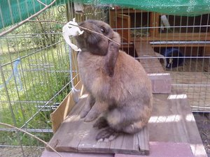 P11-07-09_17.45[1] (Small).jpg