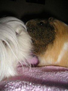 Marie&Tommy (4) (Small).JPG