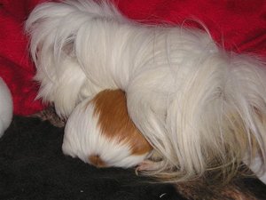 Marie&Tommy (52) (Small).JPG