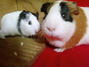 Marie&truttchen (27) (Small).jpg