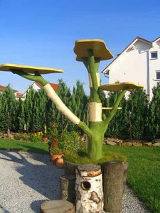 Kratzbaum renoviert.JPG