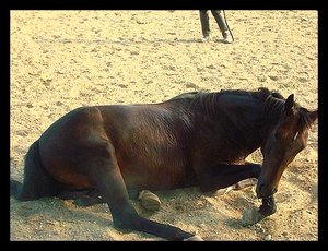 cosmo1.jpg cosmo1.jpg