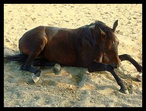 cosmo2.jpg cosmo2.jpg