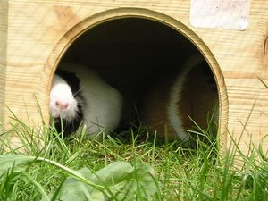 P1010051 (Small).JPG