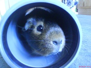 Neue Pics xD 002.jpg