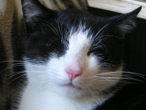 P1010035 (Small).JPG