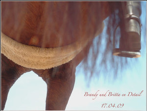 Brandy & Britta en Detail 17.04.09.jpg