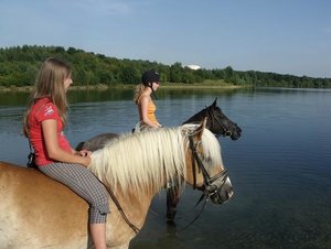 DSCF2261 - Kopie.JPG