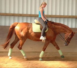 Brandy olive lemon.jpg