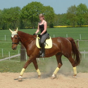 B&B Trab...9.05.08.JPG