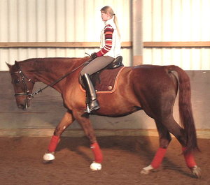 Brandy & Britta orange.JPG