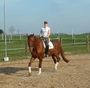 B&B Trab V 10.04.09.JPG