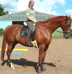 Brandy & Britta 1. Mal.JPG