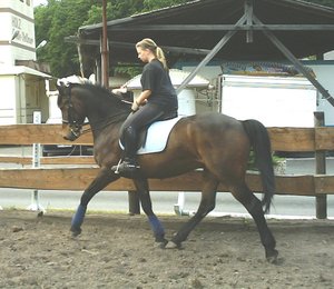 ich auf Tomtom, mein Pferd.jpg