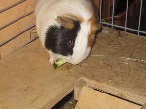 Neue Pics xD 138.jpg