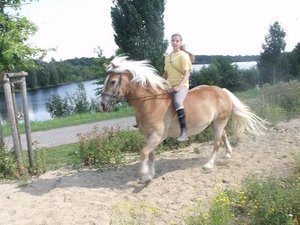 DSCF2424 - Kopie.JPG