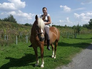 DSCF2337 - Kopie.JPG