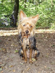 P7250046 (Large).JPG